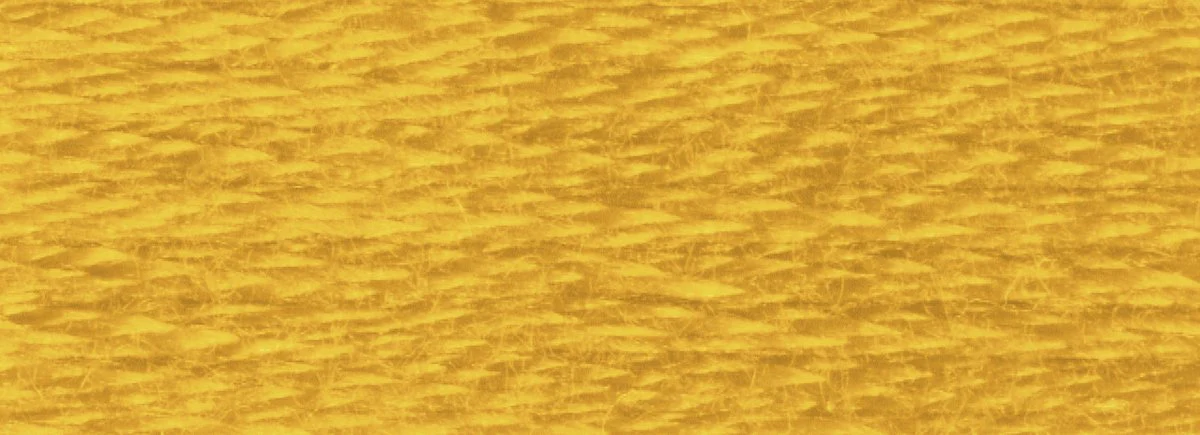 DMC 6-Strand Cotton Embroidery Floss 8.7yd - 3852 Very Dark Straw - Image 2