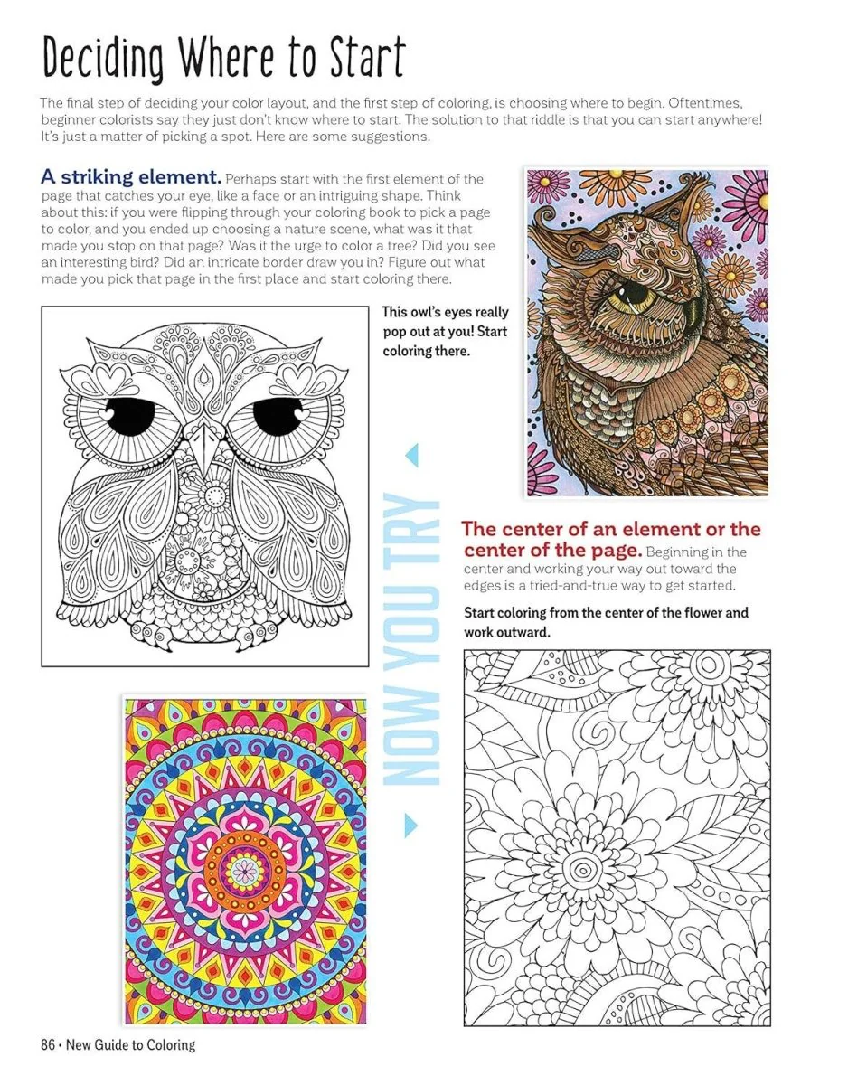 Fox Chapel Publishing - New Guide to Coloring for Crafts & Adult Coloristas - Image 3