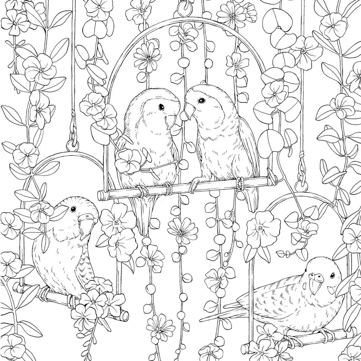Fox Chapel Publishing - Symphony of Cute Animals - A Curious Coloring Book Adventure - Image 5