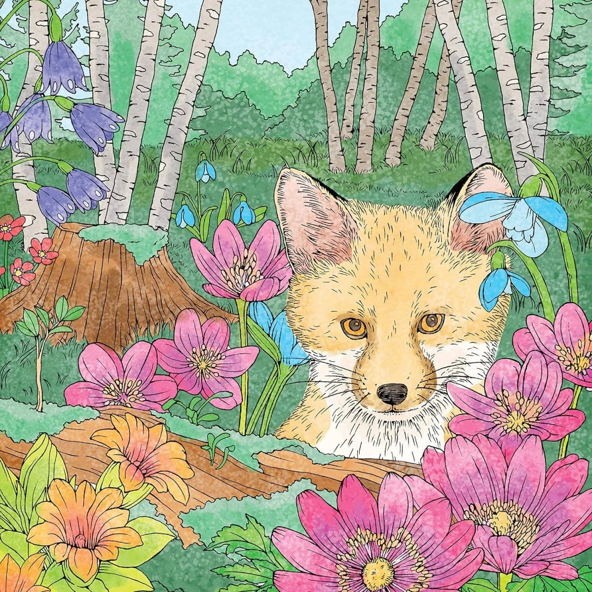 Fox Chapel Publishing - Symphony of Cute Animals - A Curious Coloring Book Adventure - Image 6